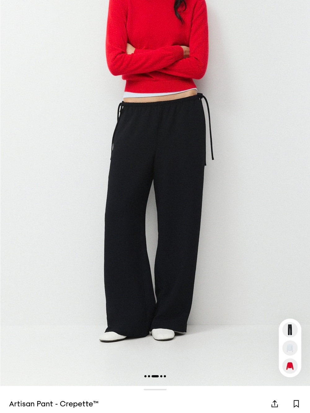 Aritzia Black Wide-Leg Artisan Pant